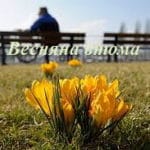 Весняна втома