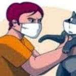 Коронавірус і домашні тварини