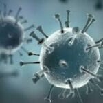 SARS-Cov-2 & Co: найнебезпечніші віруси у світі