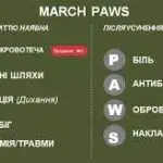 Тактична медицина: Алгоритм MARCH